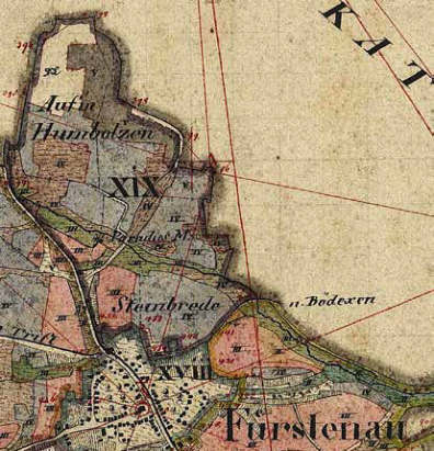 This image for Image Layouts addon