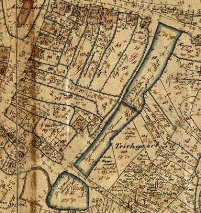 This image for Image Layouts addon