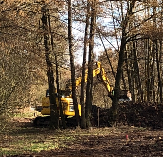 Fürstenau geht voran mit der Renaturierung und vergrößert den Substanzraum für die Natur!