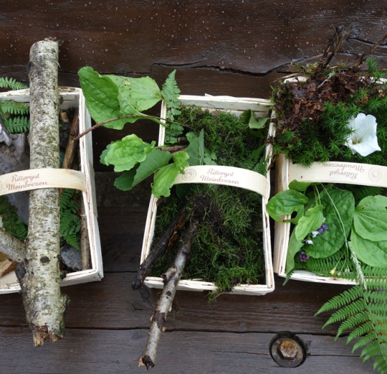 Unser wunderbare Wald
