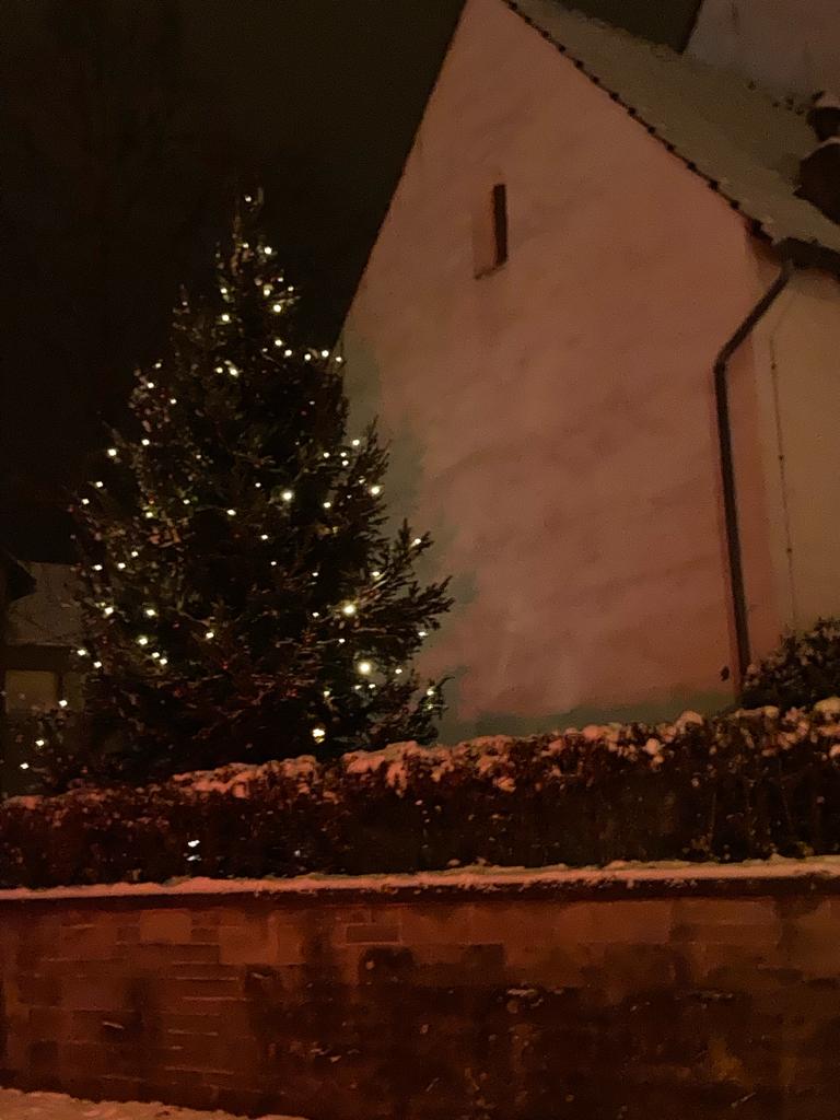 Weihnachtsbaum 2023