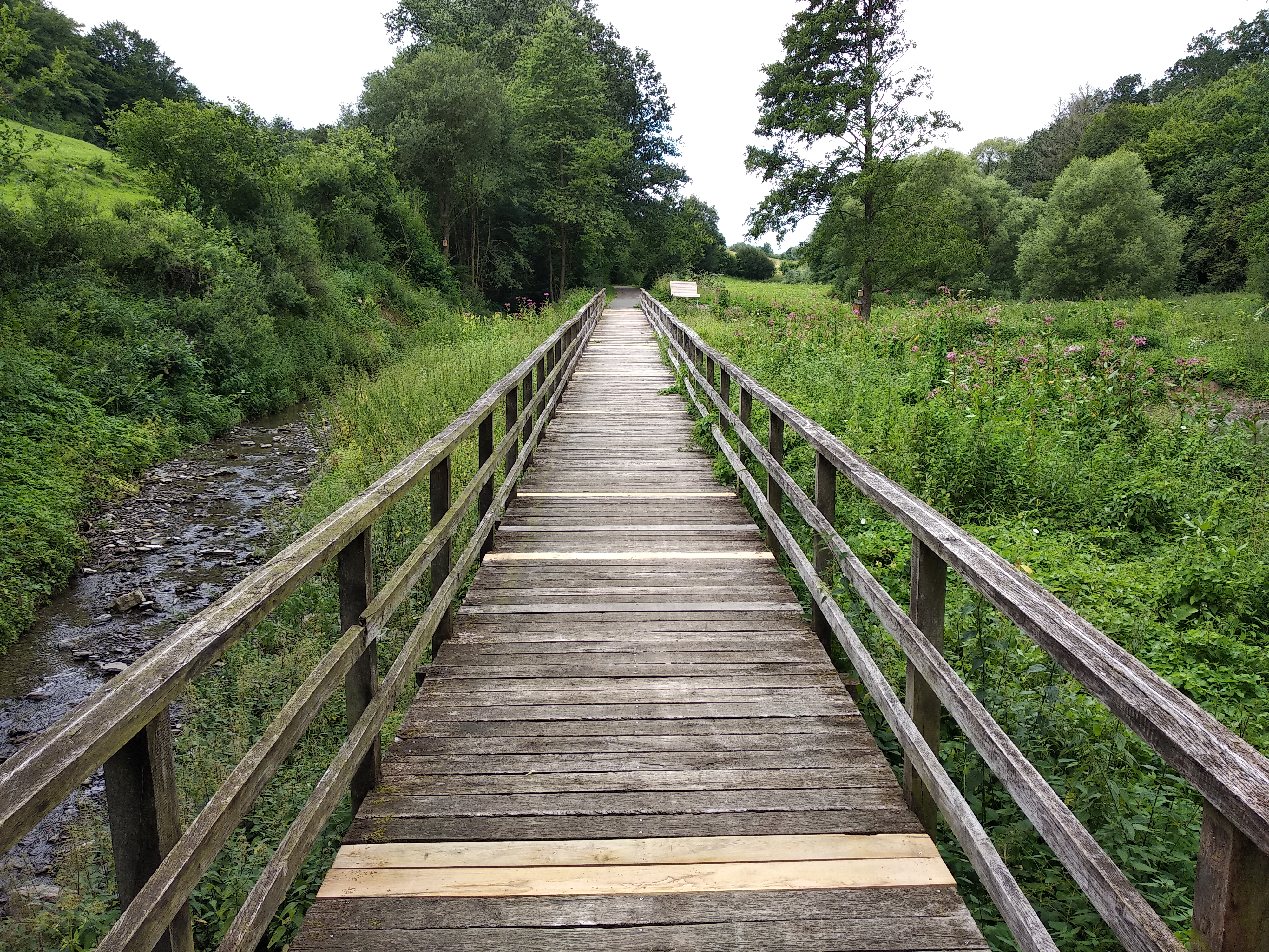 Pionierbrücke 2021