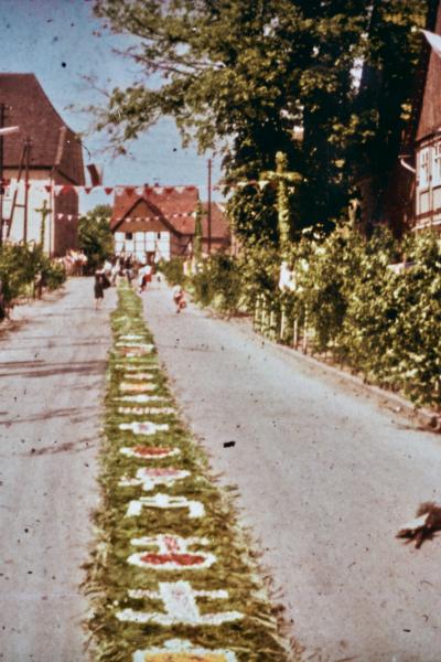 Blumenteppich in der Hohehäuser Straße zu Antoni