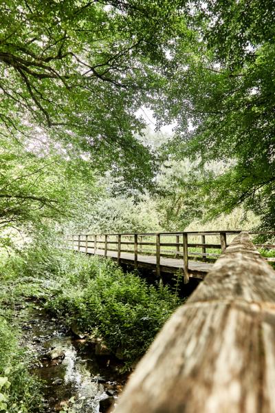 Die Saumer an der Pionierbrücke