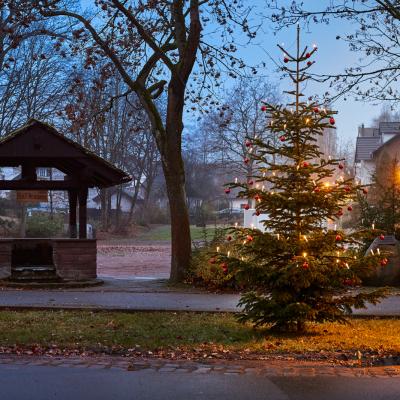 Weihnachtsbaum beim Dorfbrunnen