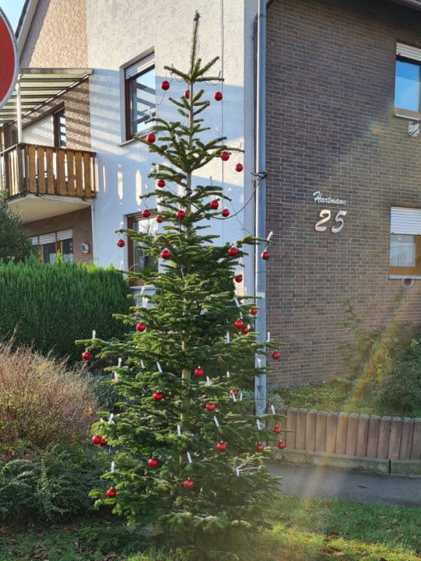 Weihnachsbaum Aufstellen 2021