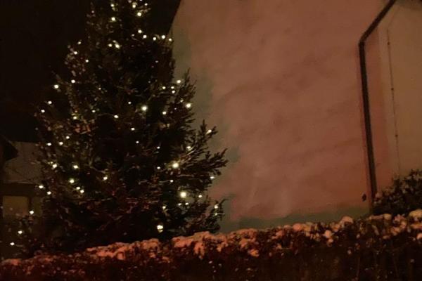 Weihnachtsbaum 2023
